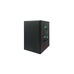 IP网络音箱-带定压备份（主箱）CY-IP2015B