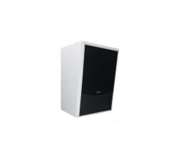 多功能IP网络壁挂音箱带2.4G+带2.4G与定压备份CY-IP2315GB